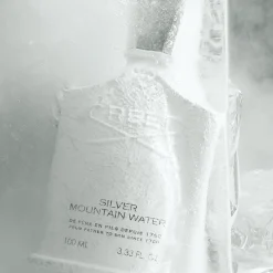 Silver Mountain Water Eau de Parfum 100ml