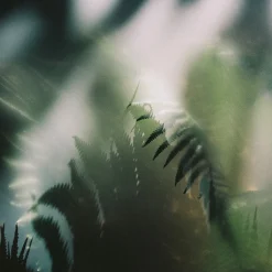 Steam Eau de Parfum Refill 100ml