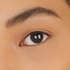 Total Seduction Eyeshadow Stick ADULTS ONLY