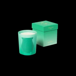 Under the Trees Scented Candle 270gr