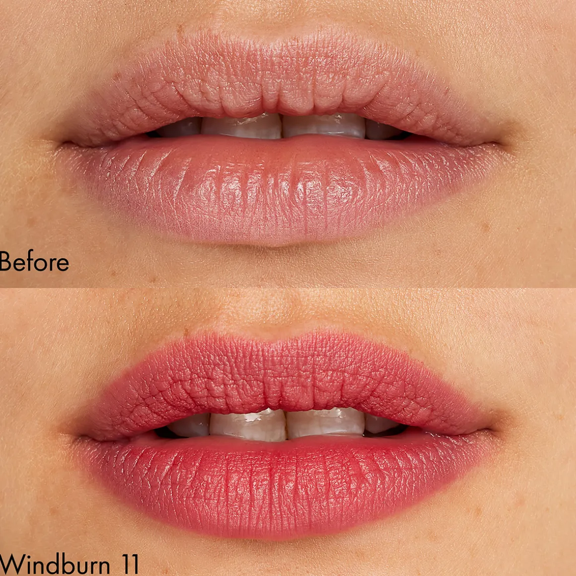 Velvet Blur Mini Lipstick Balm Windburn