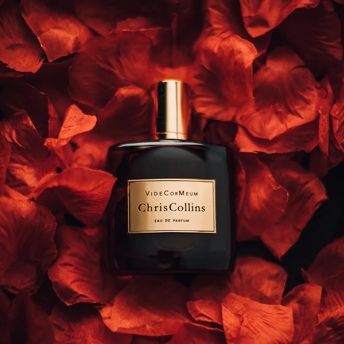 Vide Cor Meum Eau de Parfum 50ml