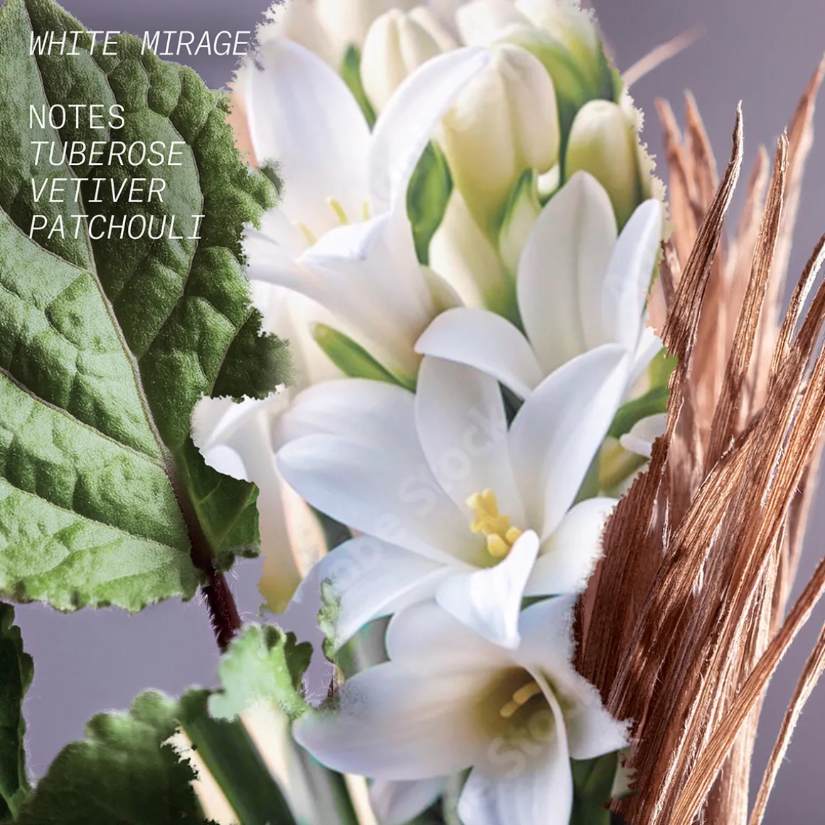 White Mirage Eau de Parfum 100ml