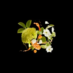 XJ1861 Naxos Eau de Parfum 100ml