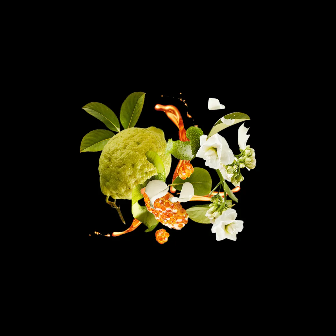 XJ1861 Naxos Eau de Parfum 100ml